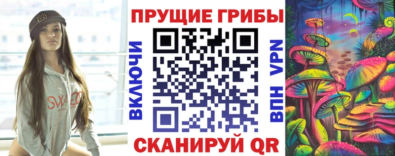 Псилоцибиновые грибы Psilocybe  Клинцы 