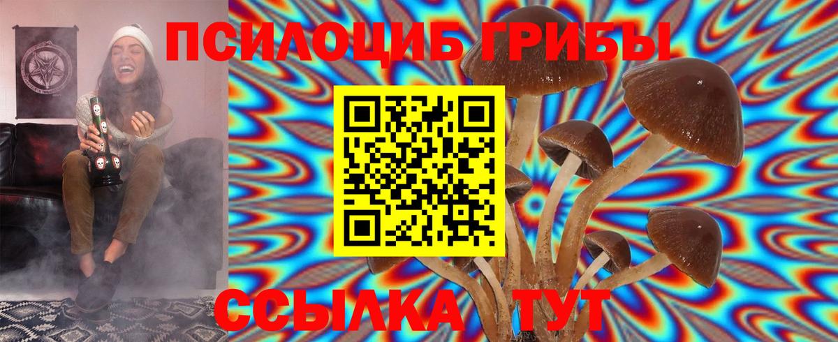Галлюциногенные грибы прущие грибы  Галлюциногенные грибы прущие грибы  Вход с VPN  Клинцы 