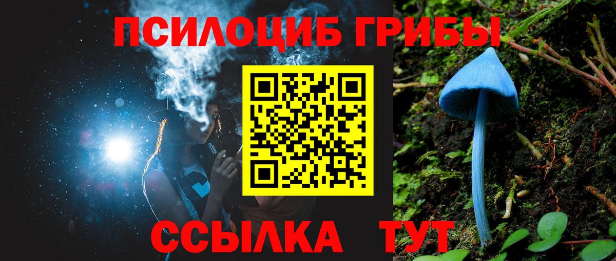 Галлюциногенные грибы Psilocybine cubensis Клинцы